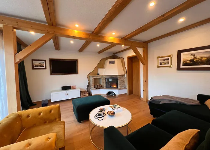 Elbvilla Pirna Mit Sauna Und Kamin Mit Privatem Zugang Zur Elbe