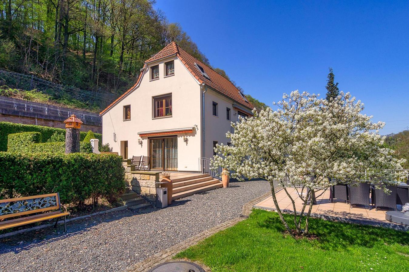 Villa Elbvilla Mit Sauna Und Kamin Mit Privatem Zugang Zur Elbe Pirna