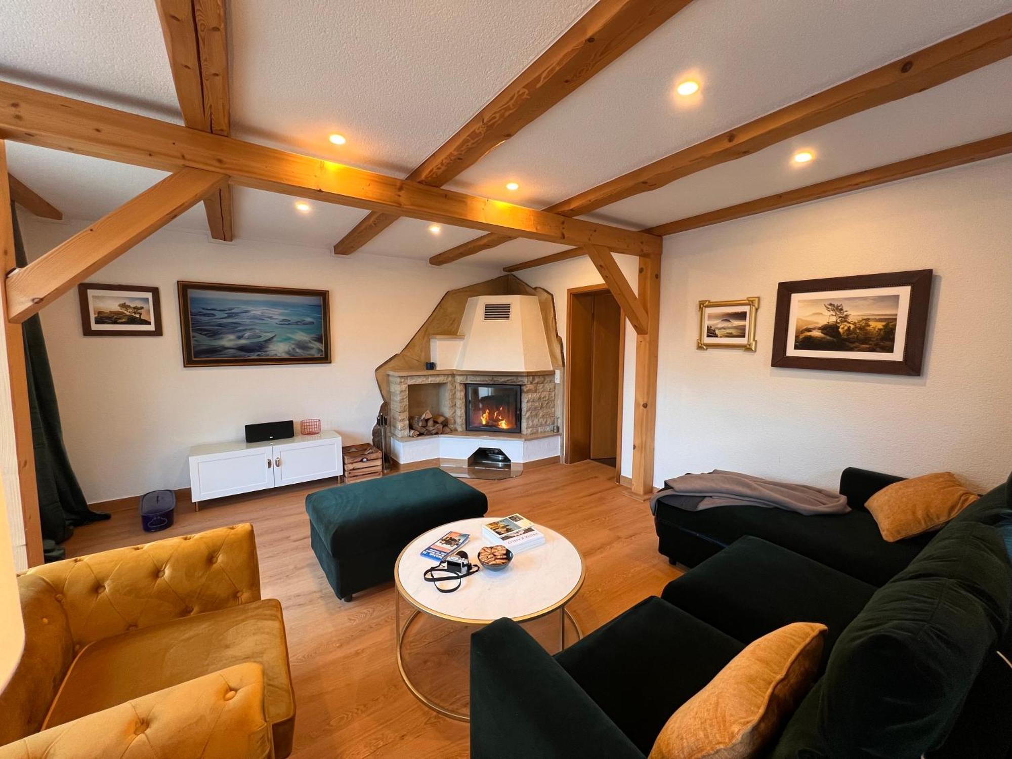 Villa Elbvilla Mit Sauna Und Kamin Mit Privatem Zugang Zur Elbe Pirna