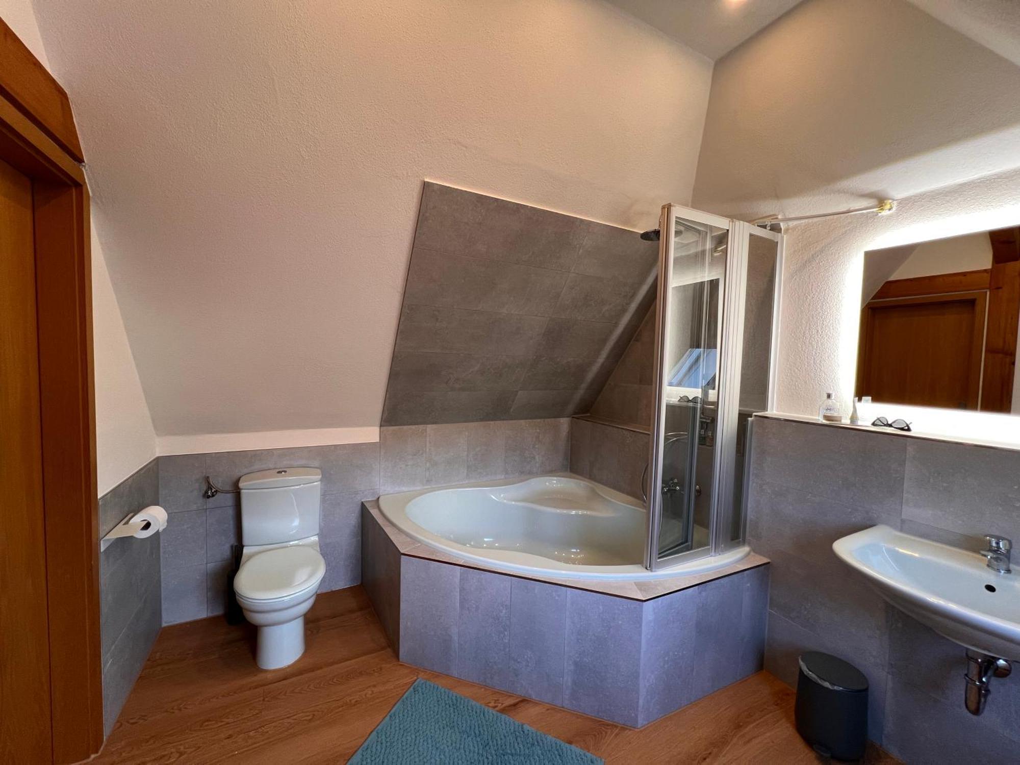 Elbvilla Mit Sauna Und Kamin Mit Privatem Zugang Zur Elbe * Pirna