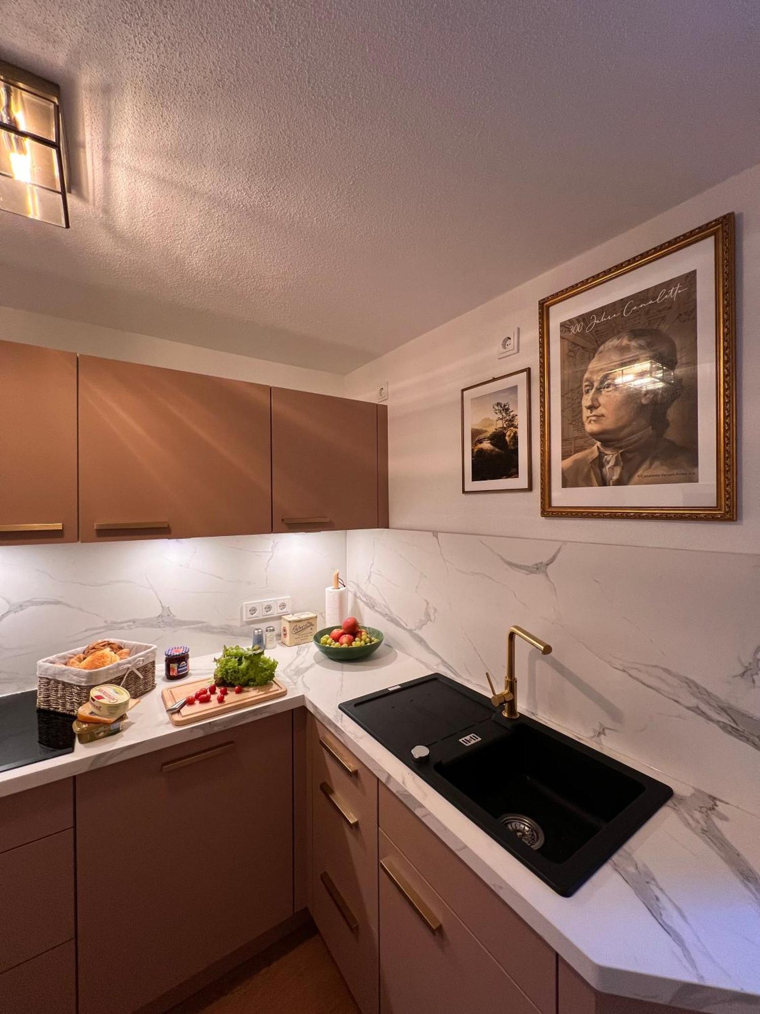 Elbvilla Mit Sauna Und Kamin Mit Privatem Zugang Zur Elbe Pirna